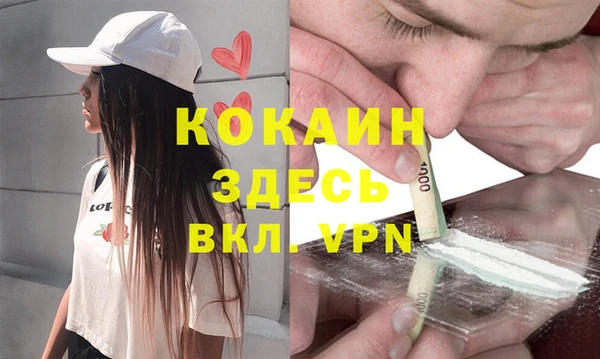 шишки Балахна