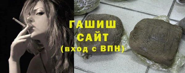 индика Осташков
